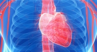 臨床醫(yī)學(xué) Clinical Medicine